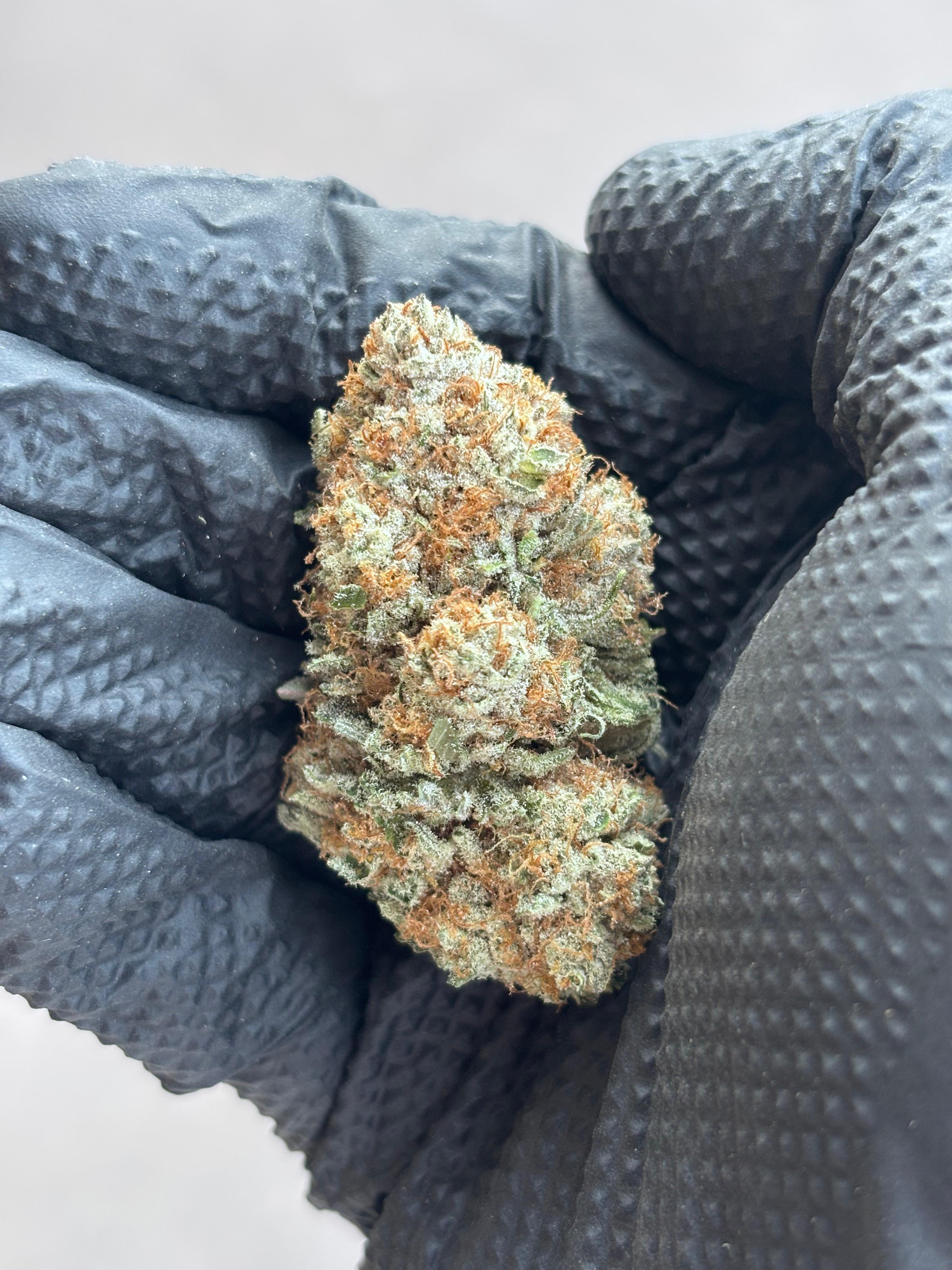 Canna Club Distillate Infused White Russian Indoor CBD Flower