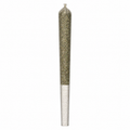CBD Orange Gas Prerolls